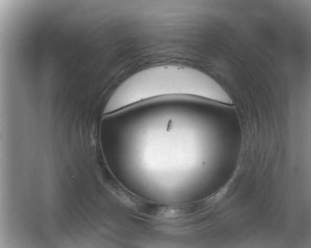 X0000067330174200604071334