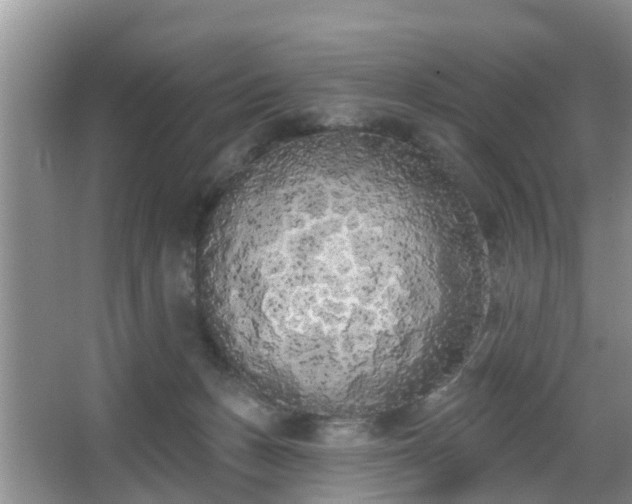 X0000067330175200604071335