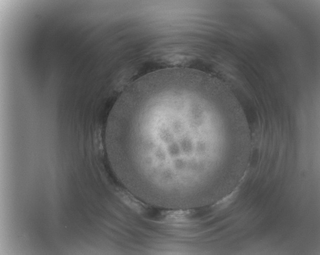 X0000067330182200604071335