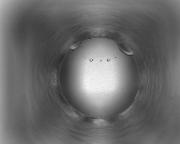 X0000067330183200604071335