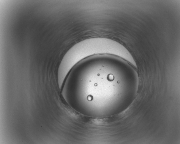 X0000067330187200604071335