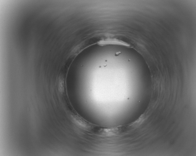 X0000067330188200604071335