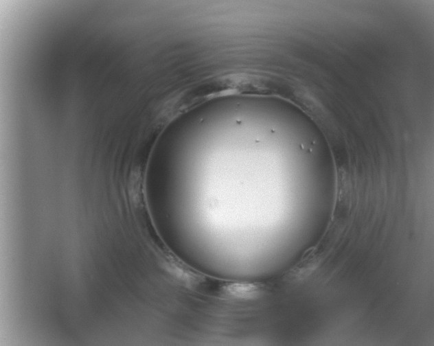 X0000067330189200604071335