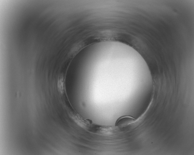 X0000067330190200604071335