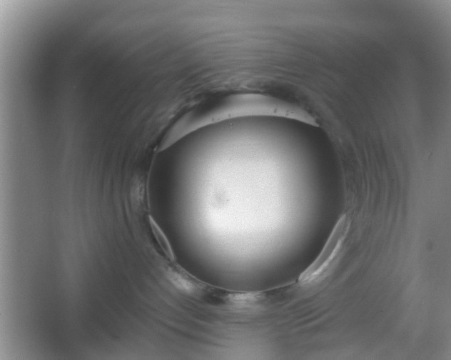 X0000067330192200604071335