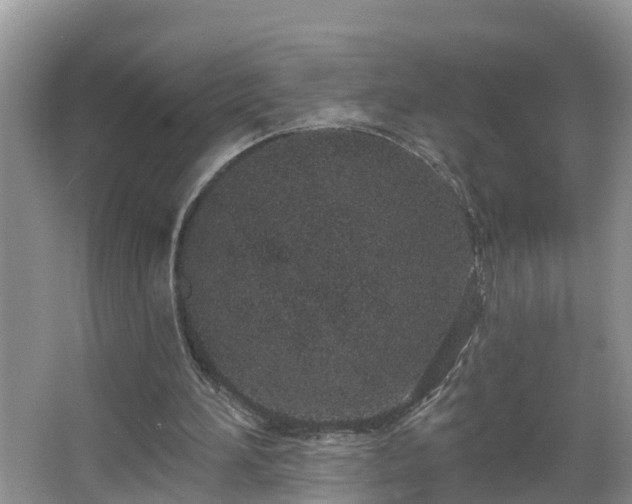 X0000067330196200604071334