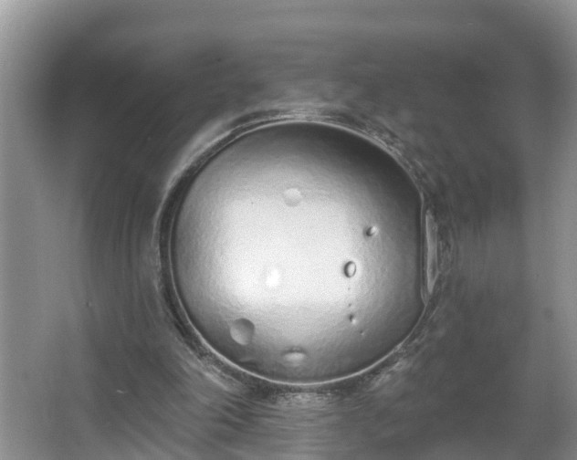 X0000067330198200604071334