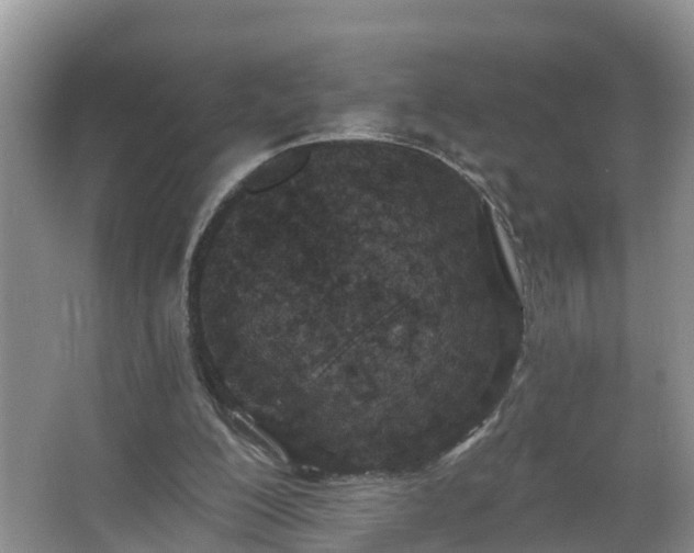 X0000067330200200604071334