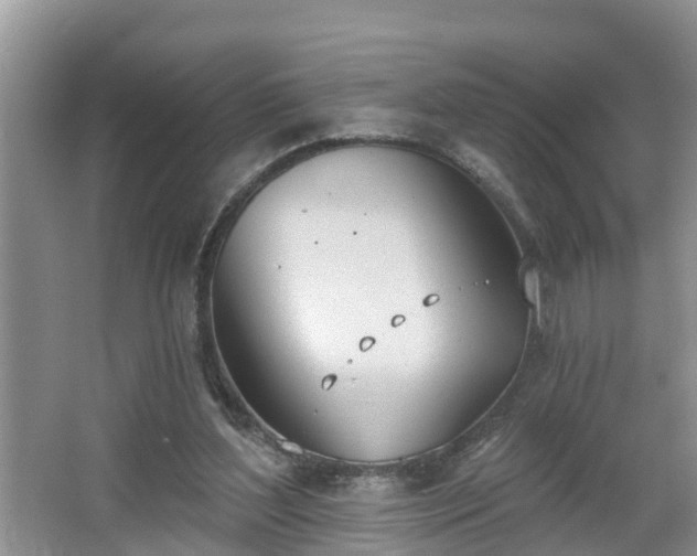 X0000067330204200604071334