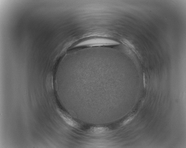 X0000067330205200604071334