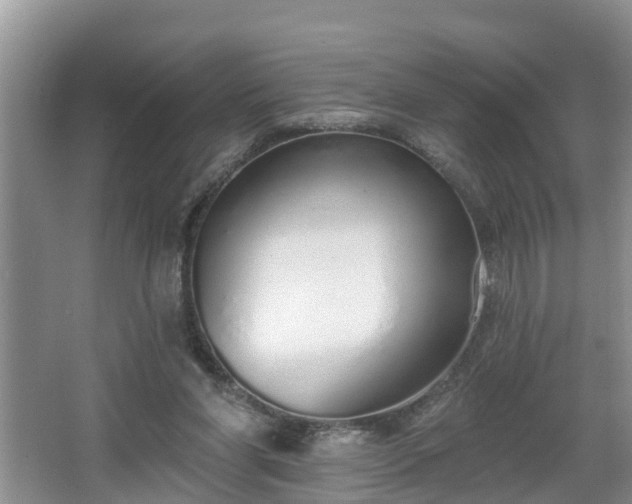 X0000067330206200604071334