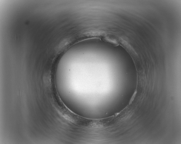 X0000067330207200604071334