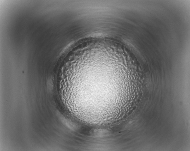 X0000067330208200604071334