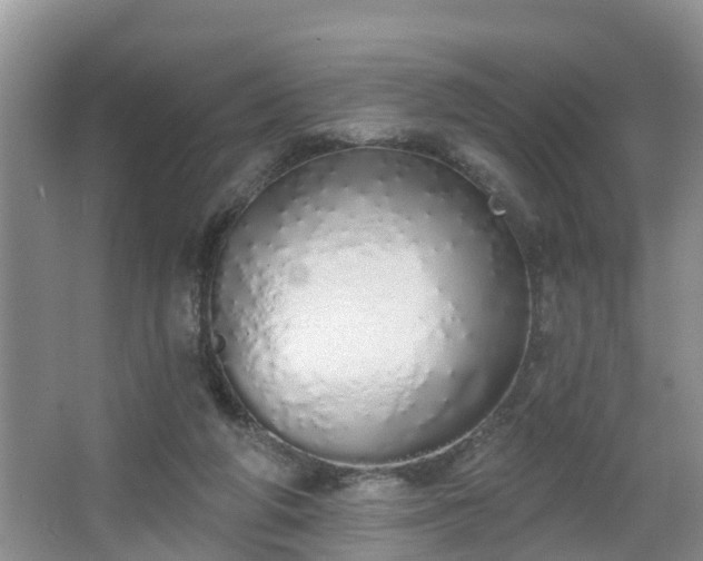 X0000067330210200604071334