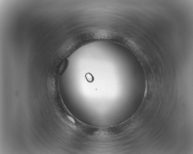 X0000067330211200604071334