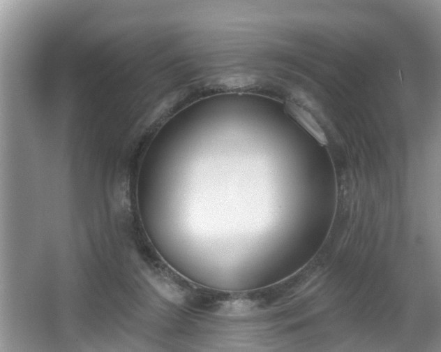 X0000067330212200604071334