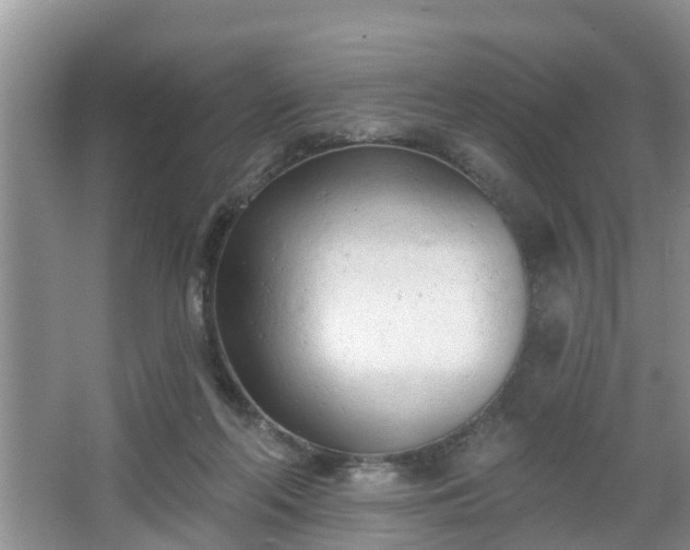 X0000067330214200604071334