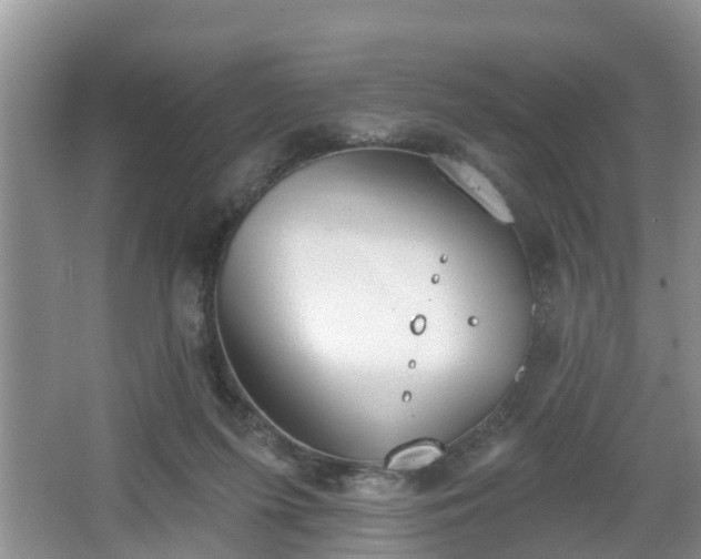 X0000067330215200604071334