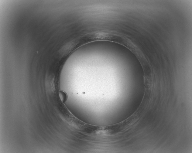 X0000067330216200604071334