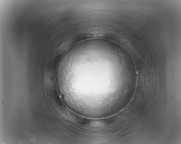 X0000067330218200604071334