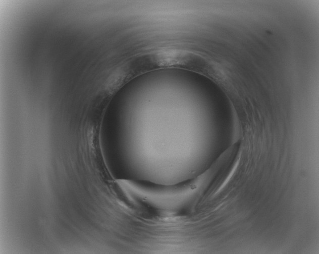 X0000067330219200604071334