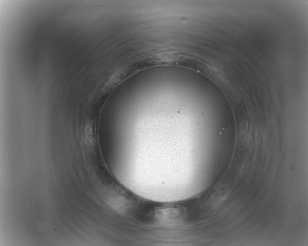 X0000067330220200604071334