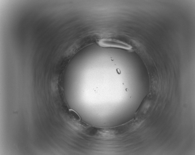 X0000067330221200604071334