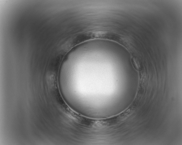 X0000067330222200604071334