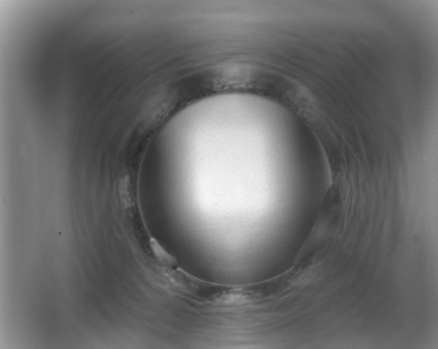 X0000067330224200604071333