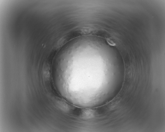 X0000067330226200604071333