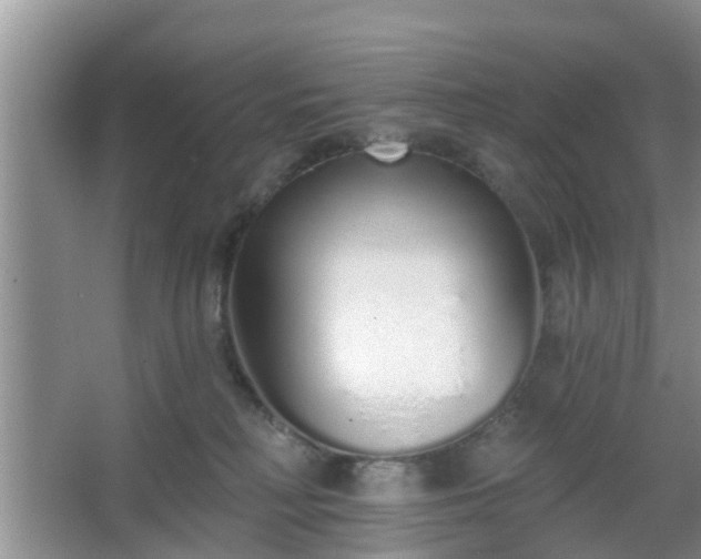 X0000067330230200604071333