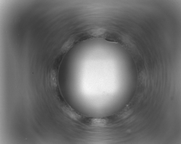 X0000067330234200604071333