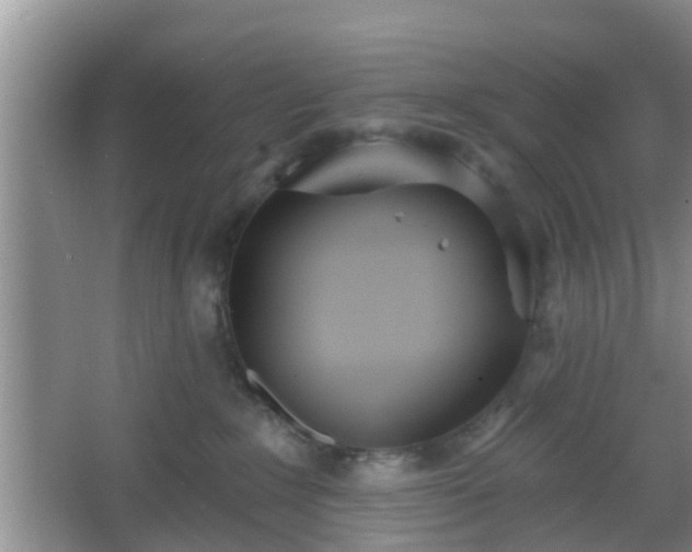 X0000067330235200604071333