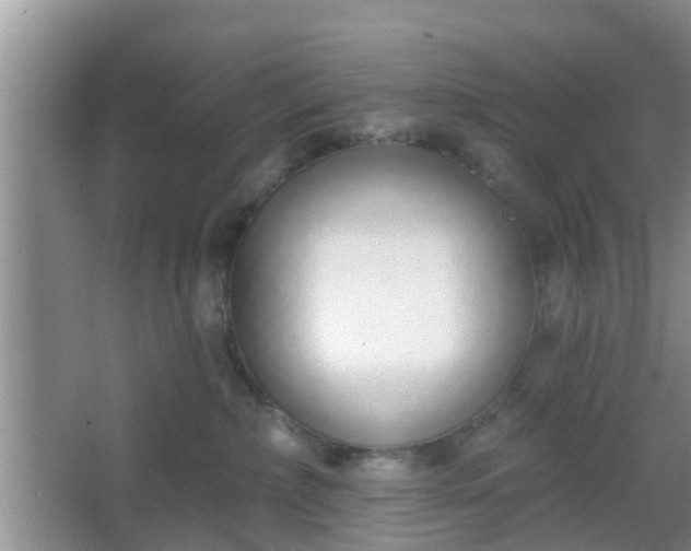 X0000067330236200604071333