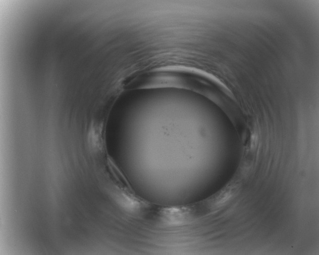 X0000067330239200604071333