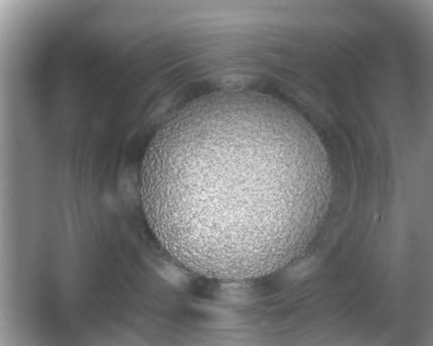 X0000067330240200604071333