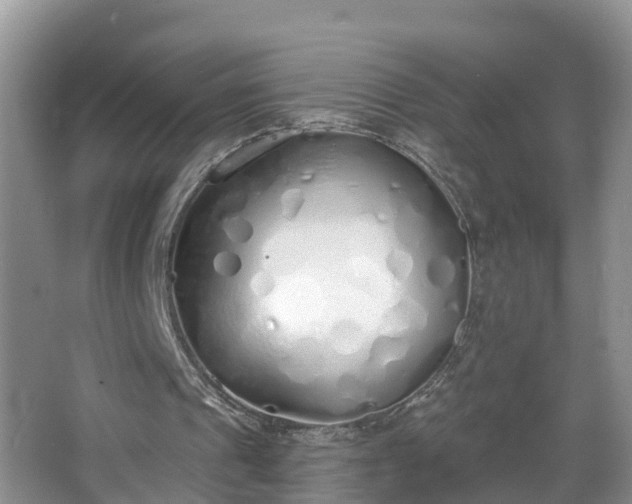 X0000067330241200604071332