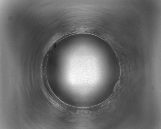 X0000067330242200604071332