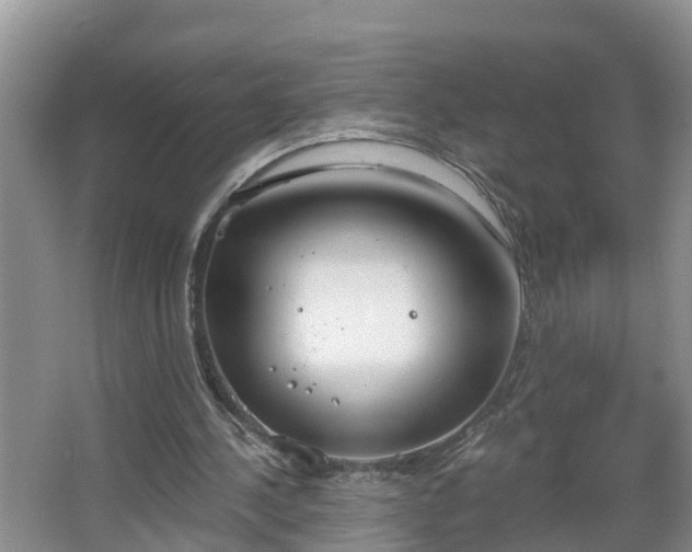 X0000067330244200604071332