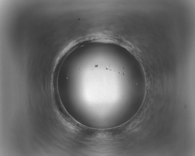 X0000067330248200604071333