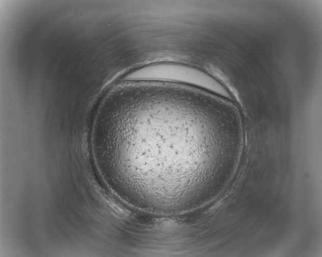 X0000067330249200604071333