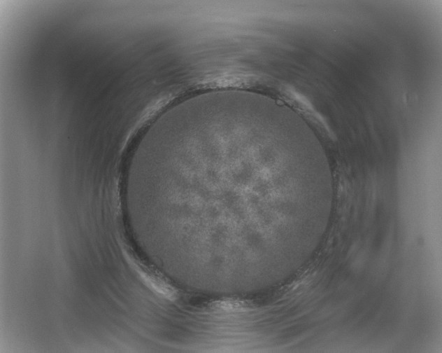 X0000067330250200604071333