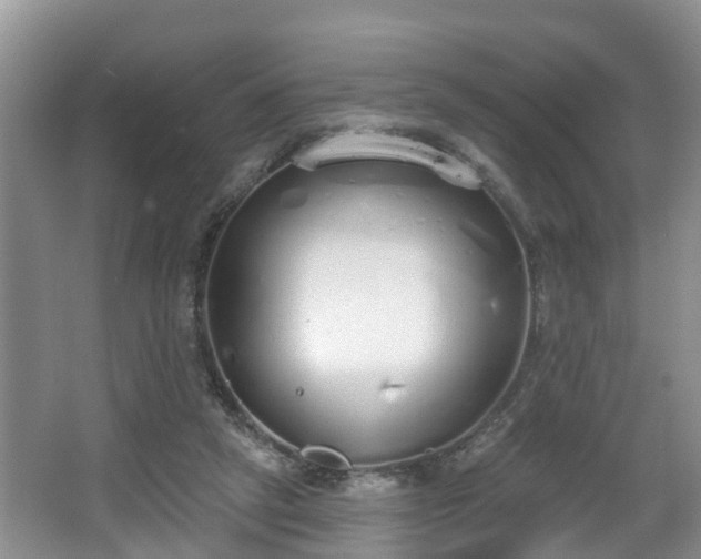 X0000067330257200604071333