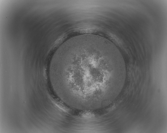 X0000067330258200604071333