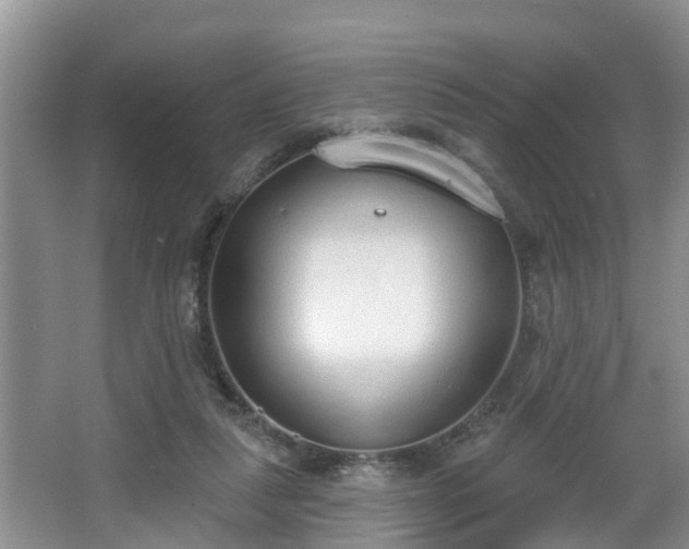 X0000067330259200604071333