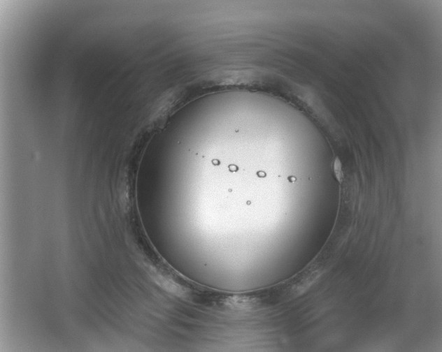 X0000067330261200604071333