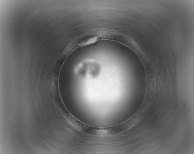 X0000067330265200604071333