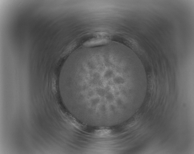 X0000067330266200604071333