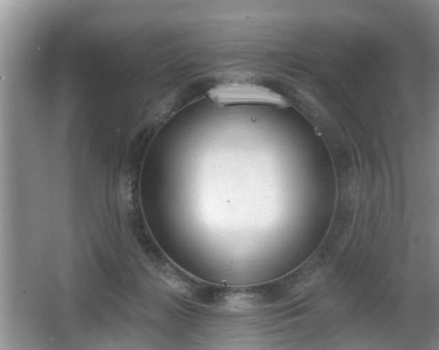 X0000067330268200604071333