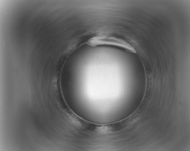 X0000067330269200604071333